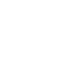 Speed icon